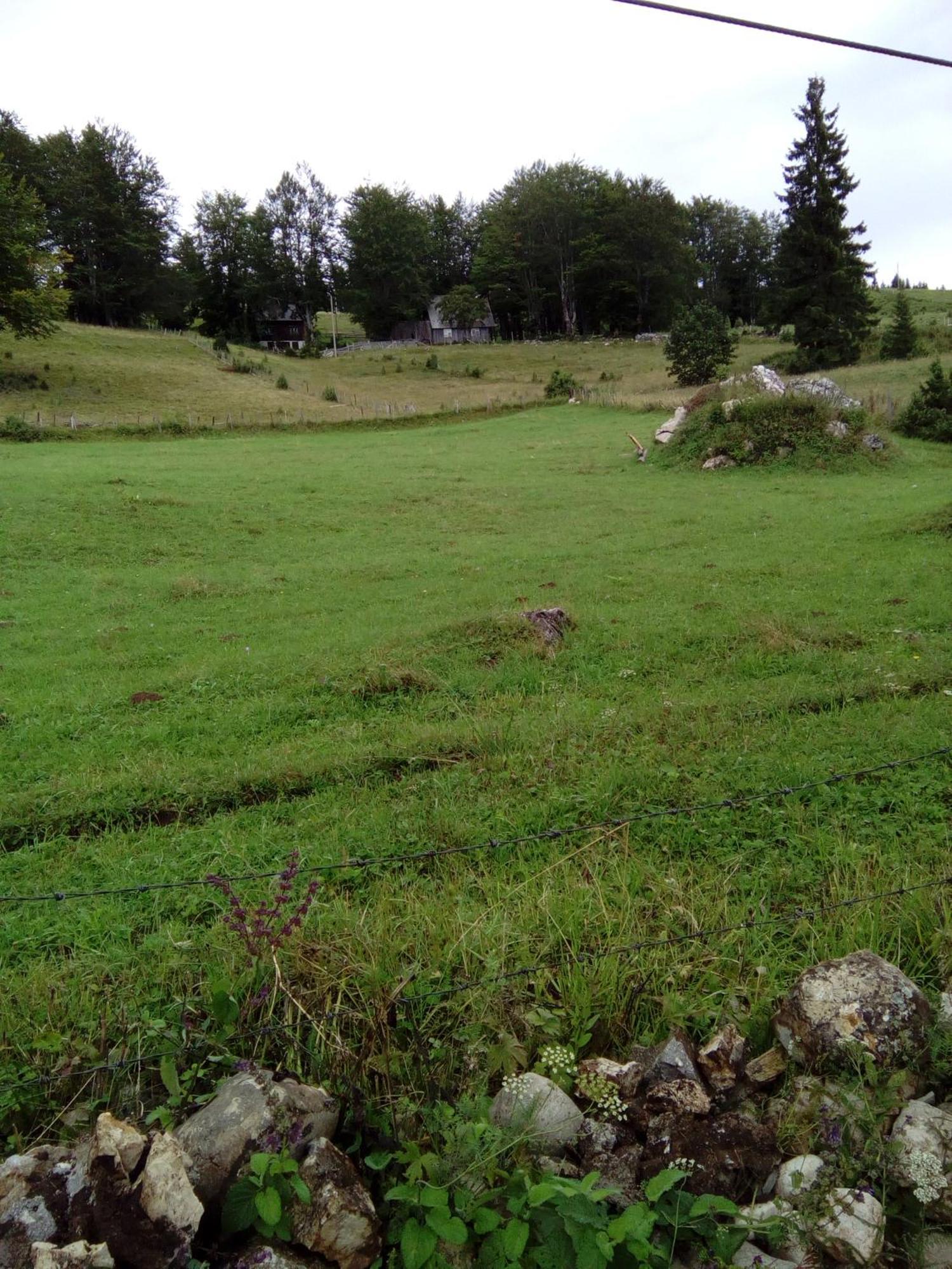 Rooms Apartment Durmitor Žabljak Zewnętrze zdjęcie